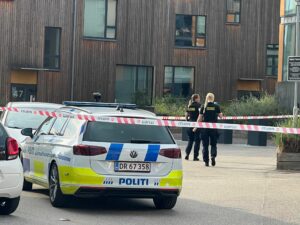 65-årig tilstår vold med døden til følge