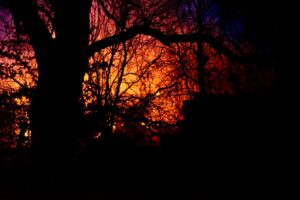 Brand i kolonihavehus – mand sigtet