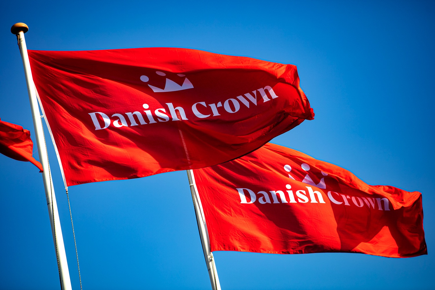Danish Crown flag