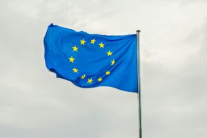 Disse kandidater er valgt til Europa Parlamentet
