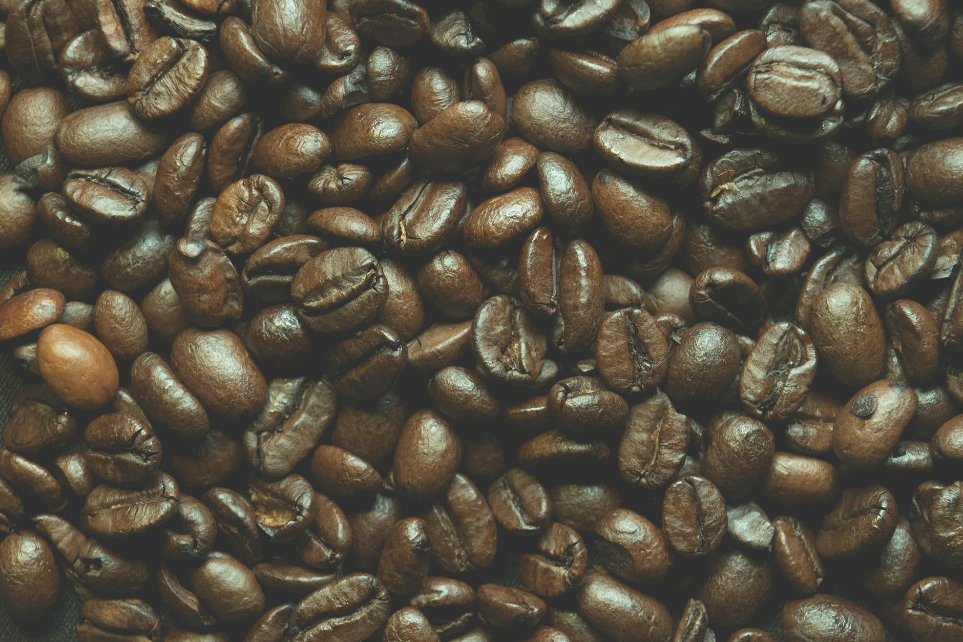 close up photo of brown coffee beans