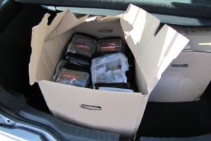 Politiet forventer flere anholdelser i hash-sag