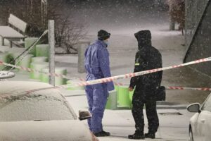 To teenagere dræbt i knivstikkeri