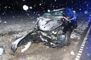 Bil bragede ind i vejtræ