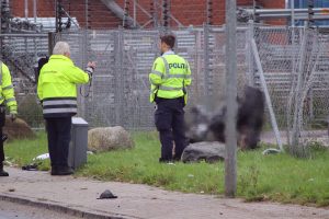 Motorcyklist dræbt i styrt