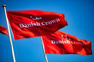 Flere smittet med COVID-19: Danish Crown lukker slagteriet i Ringsted