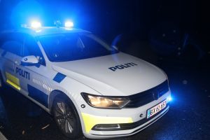 Spritbilist endte i have – ville undgå rådyr